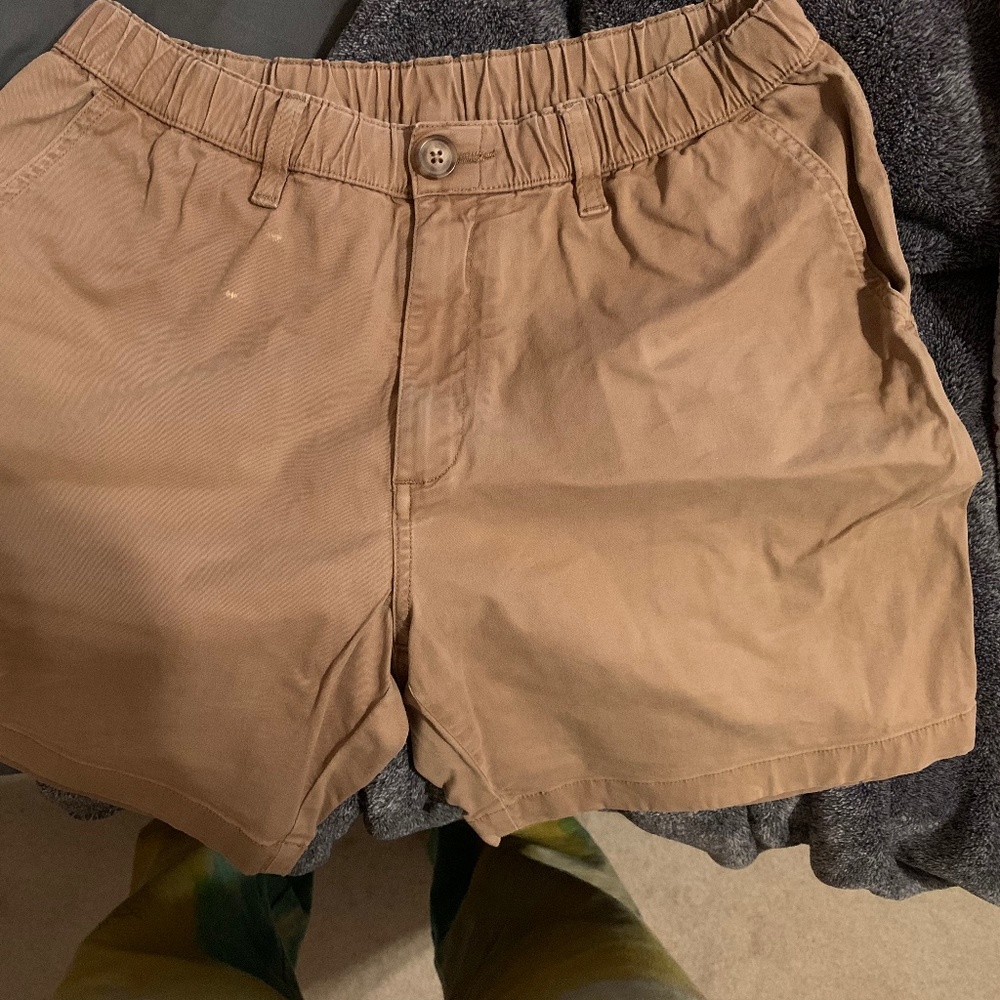 Chubbies Shorts